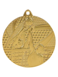 zlatá medaile - volejbal