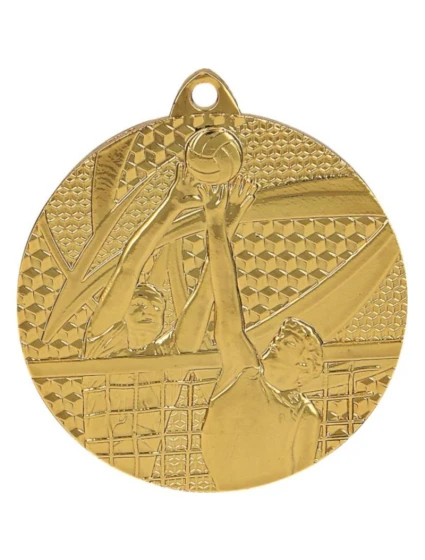 zlatá medaile - volejbal