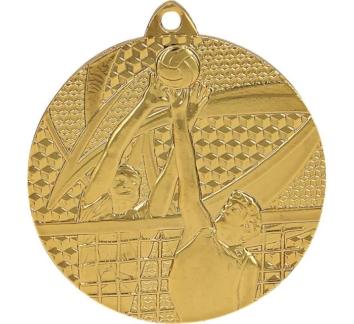 zlatá medaile - volejbal