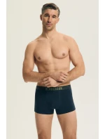 PÁNSKÉ ŠORTKY 2PAK model 21902212 - Henderson