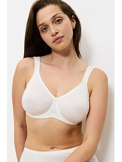 Soft model 230077 Triumph