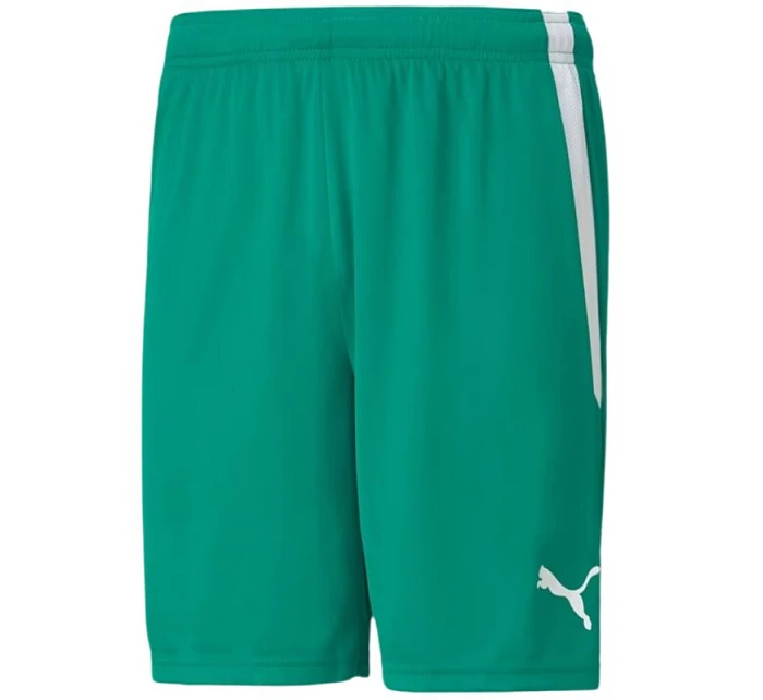 Šortky Puma teamLiga M 704924 05