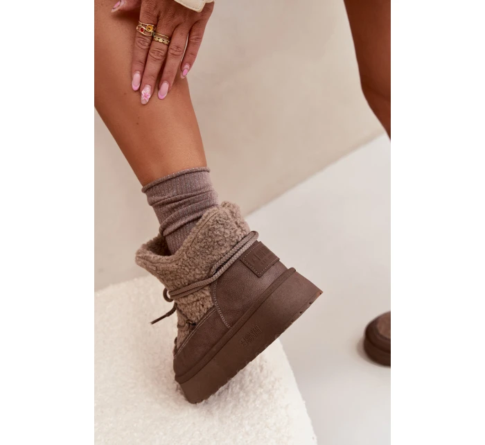 Dámské Sněhule Na Platformě S Kožíškem  Hnědé model 21705918 - Big Star Shoes