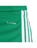 Pánské šortky adidas Tiro 26 League zelené KA8774