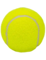 model 21825964 - Enero