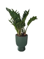 MILLY květináče na podstavci 24CM GREEN PINA dětské