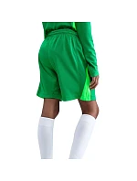 FC Barcelona dětské šortky Stadium green model 22054672 - NIKE