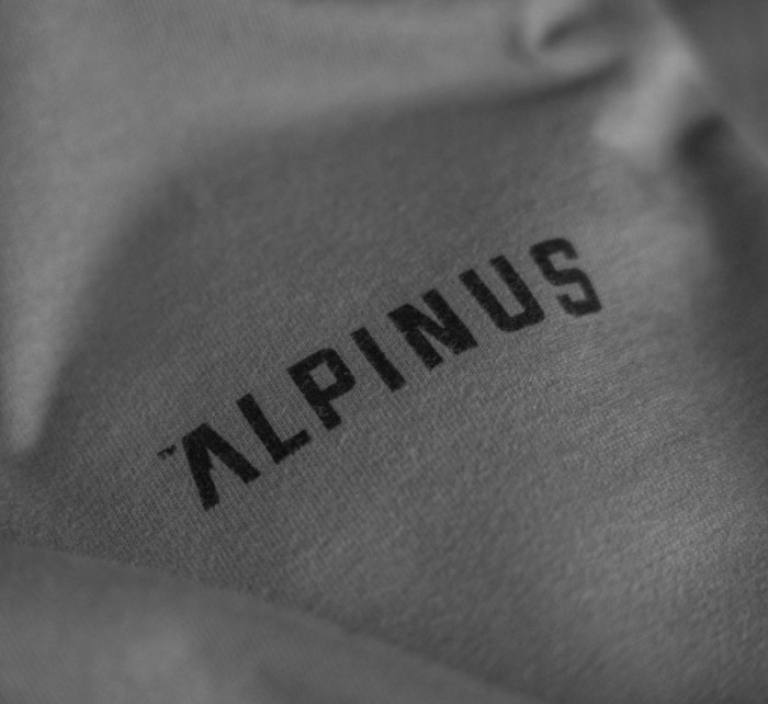 Alpinus Breheimen M pánské tričko SI18006