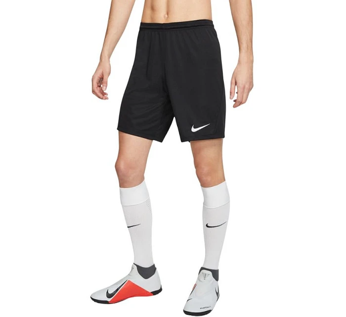 Pánská obuv Dry Park III NB M BV6855 010 - Nike