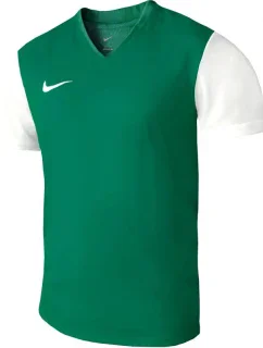 Pánské boty Dri-Fit Tiempo Premier 2 M DH8035 302 - Nike