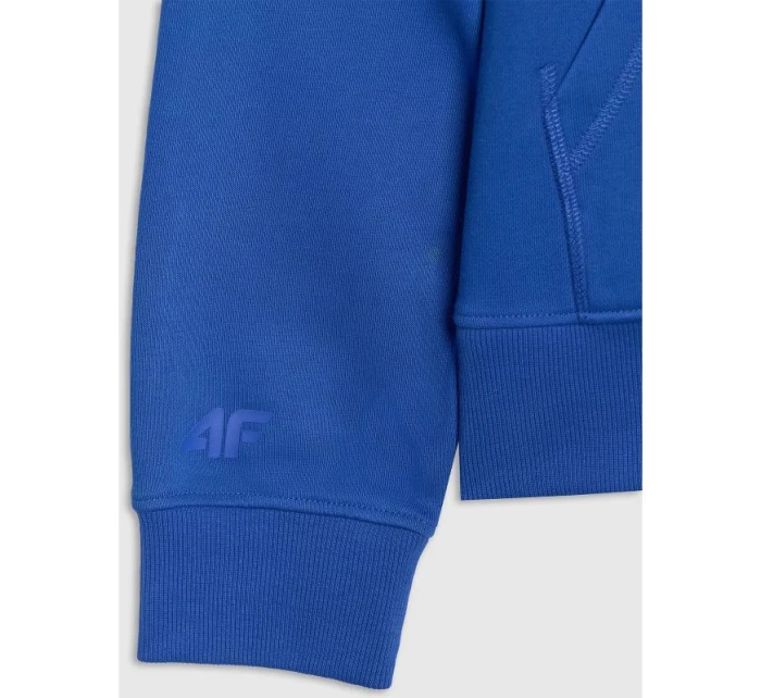 Pánská mikina s kapucí pánská model 21434968 - 4F Pánská mikina s kapucí pánská model 21434968 - 4F