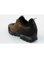 Pánské trekové boty Aku Nativa GTX