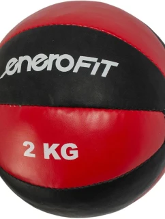 FIT model 21830263 - Enero