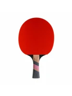 na stolní tenis Carbon model 18716678 - CORNILLEAU na stolní tenis Carbon model 18716678 - CORNILLEAU