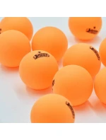 NA STOLNÍ TENIS NEJLEPŠÍ SPORTOVNÍ model 21825937