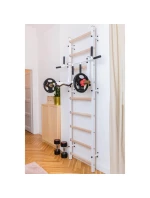 GYMNASTICKÝ ŽEBŘÍK S NASTAVITELNOU KOVOVOU TYČÍ 731W BENCHK GYMNASTICKÝ ŽEBŘÍK S NASTAVITELNOU KOVOVOU TYČÍ 731W BENCHK