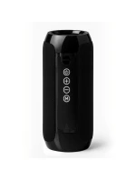 BLUETOOTH  FM   USB-C model 21861629