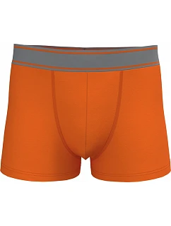 K 800 Pánské boxerky model 22534652 orange - Kariban