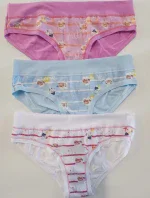 Dámské kalhotky model 18899344 - Lovelygirl