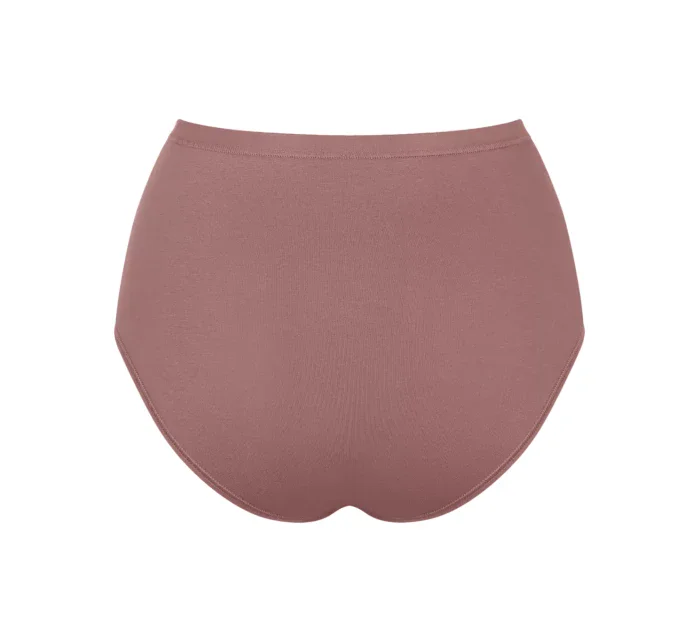 sloggi GO Daily Cotton Highwaist 3P - BROWN - SLOGGI BROWN - SLOGGI