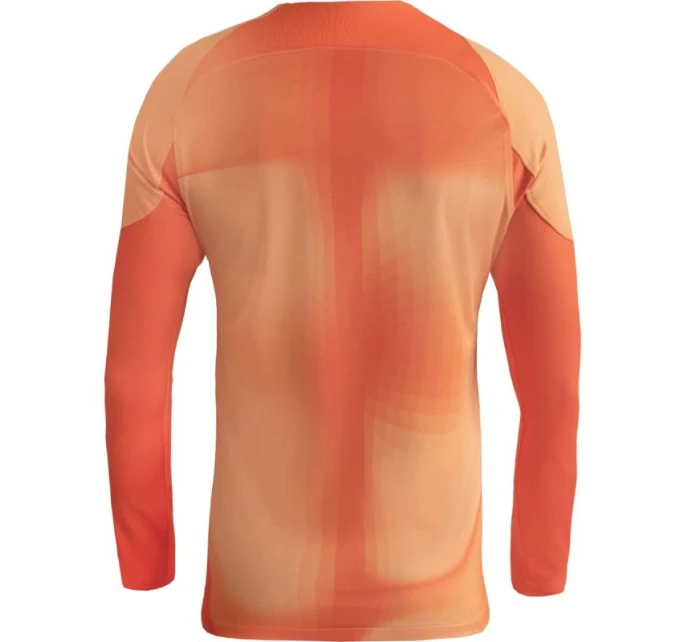 Pánský brankářský dres Gardien IV JSY M DH7967 819 - Nike