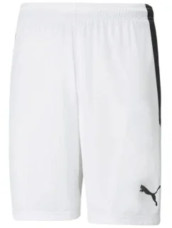 teamLIGA M model 18825984 04 šortky - Puma