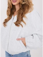 WT BL mikina A1455.87 světle šedá