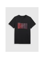 Pánské tričko s potiskem 4F 4FRAW25TTSHM3224-20S