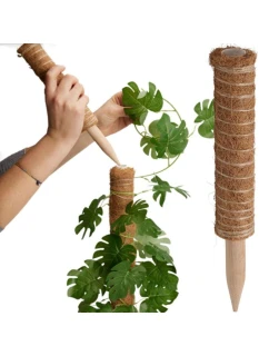 KOKOSOVÁ PODPĚRA PRO ROSTLINY 30 CM PROGARDEN