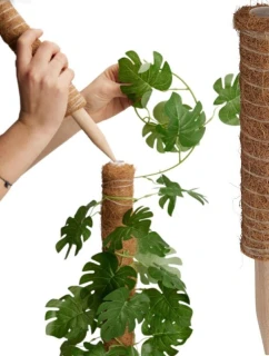 KOKOSOVÁ PODPĚRA PRO ROSTLINY 30 CM PROGARDEN