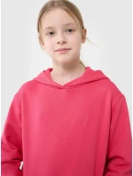 Dívčí mikina 4F Dívčí mikina 4F
