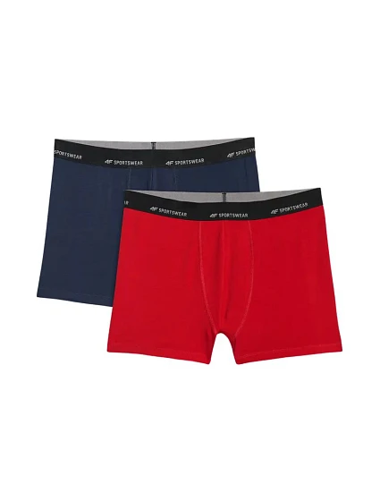 Pánské boxerky 4F M080 2-pack multicolor 4FWMM00UBXSM080 90S Pánské boxerky 4F M080 2-pack multicolor 4FWMM00UBXSM080 90S
