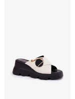 Pantofle  model 212347 Step in style