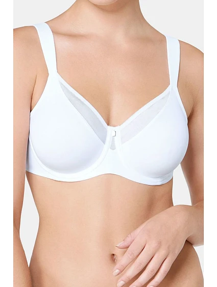 Soft model 229904 Triumph