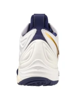 Volejbalová obuv Mizuno Wave Momentum 3 MID M V1GA231743 Volejbalová obuv Mizuno Wave Momentum 3 MID M V1GA231743