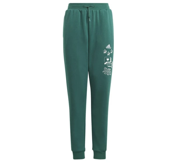 Adidas BLUV Q3 Pant Jr IA1553