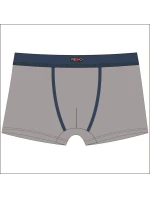 Pánské boxerky model 21284563 BAMBUS - Redo Pánské boxerky model 21284563 BAMBUS - Redo