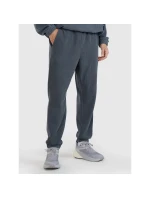 Pánské tepláky typu jogger model 21436769 - 4F Pánské tepláky typu jogger model 21436769 - 4F
