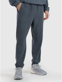 Pánské tepláky typu jogger model 21436769 - 4F