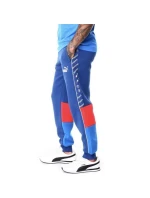 Puma BMW MMS SDS M kalhoty 621867 04