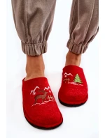 Domácí pantofle Big Star model 21600981 - Big Star Shoes