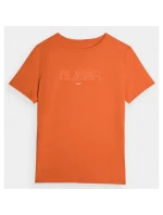 Tričko 4F M 4FAW23TTSHM0865-70S pánské