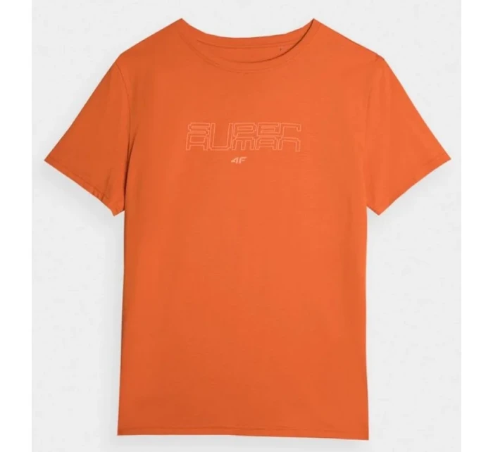 Tričko 4F M 4FAW23TTSHM0865-70S pánské