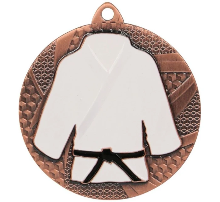 Bronzová medaile v judu/karate