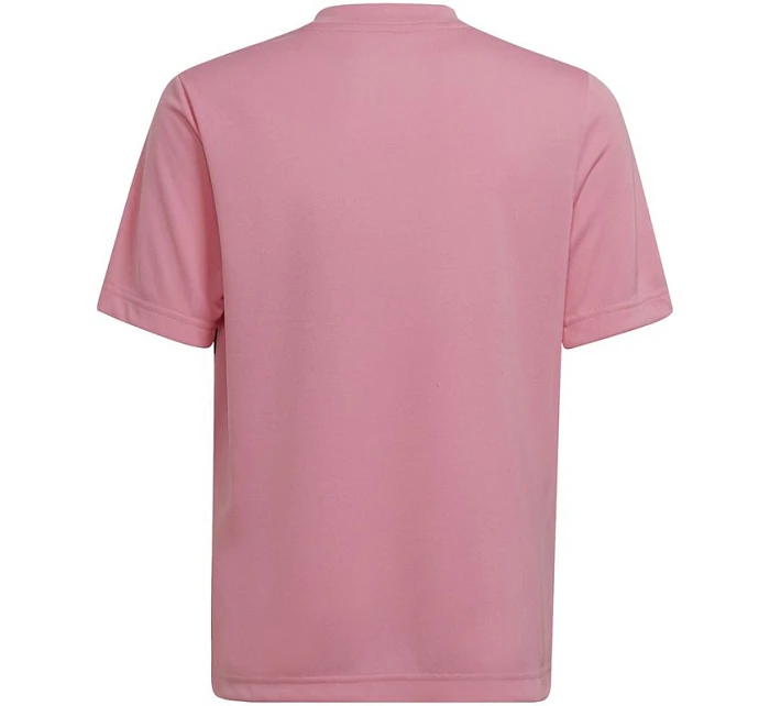 Dres Entrada 22 Graphic Jersey Jr HC2632 - Adidas