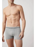 boxerky model 22085404 SXL - Ysabel Mora