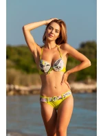 Dvoudílné plavky  model 179804 Ewlon