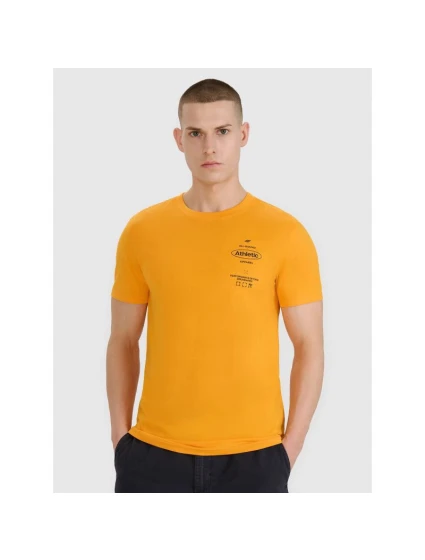 Pánské tričko s potiskem model 21436963 - 4F