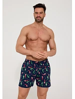 Pánské trenýrky Cornette classic 001/192