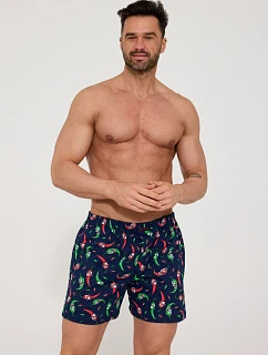 Pánské trenýrky Cornette classic 001/192